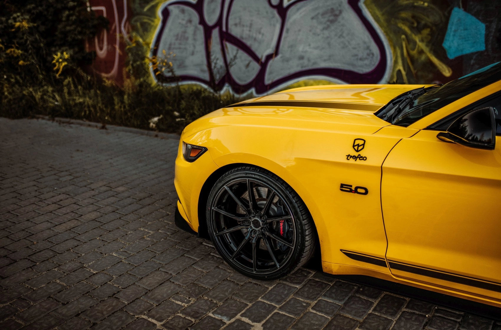Ford Mustang Concaver CVR4 Double Tinted Black 382 3034.webp
