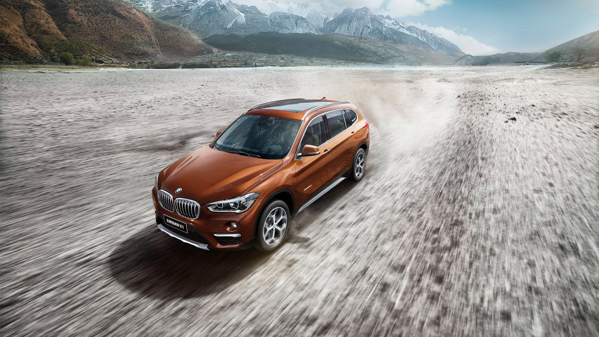 BMW X1 I (E84) [2009-2012] xDrive23d I4 150 kW
