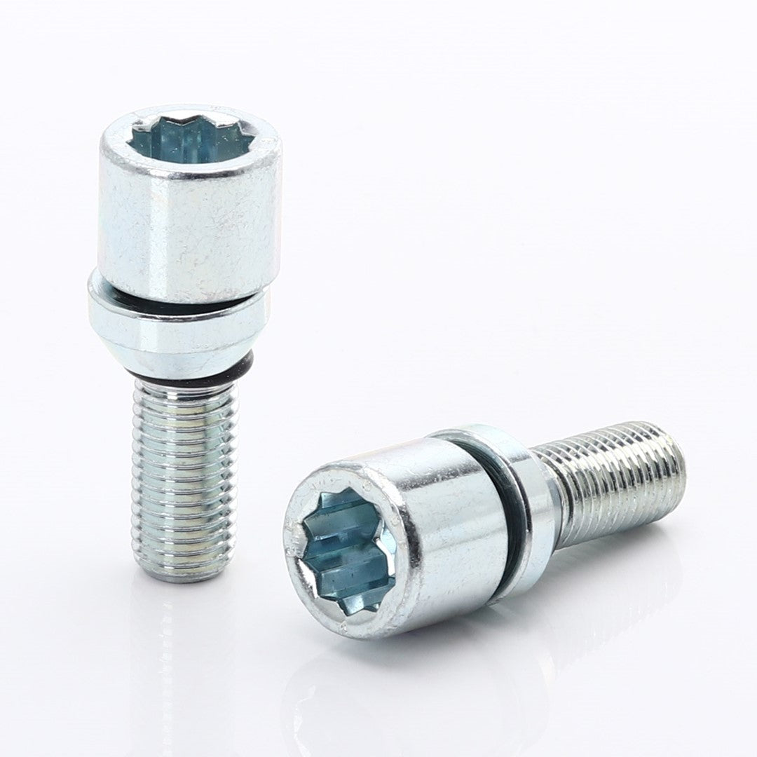 Hvězdicové šrouby s výměnnou hlavou Silver + klíč – sada 20 ks