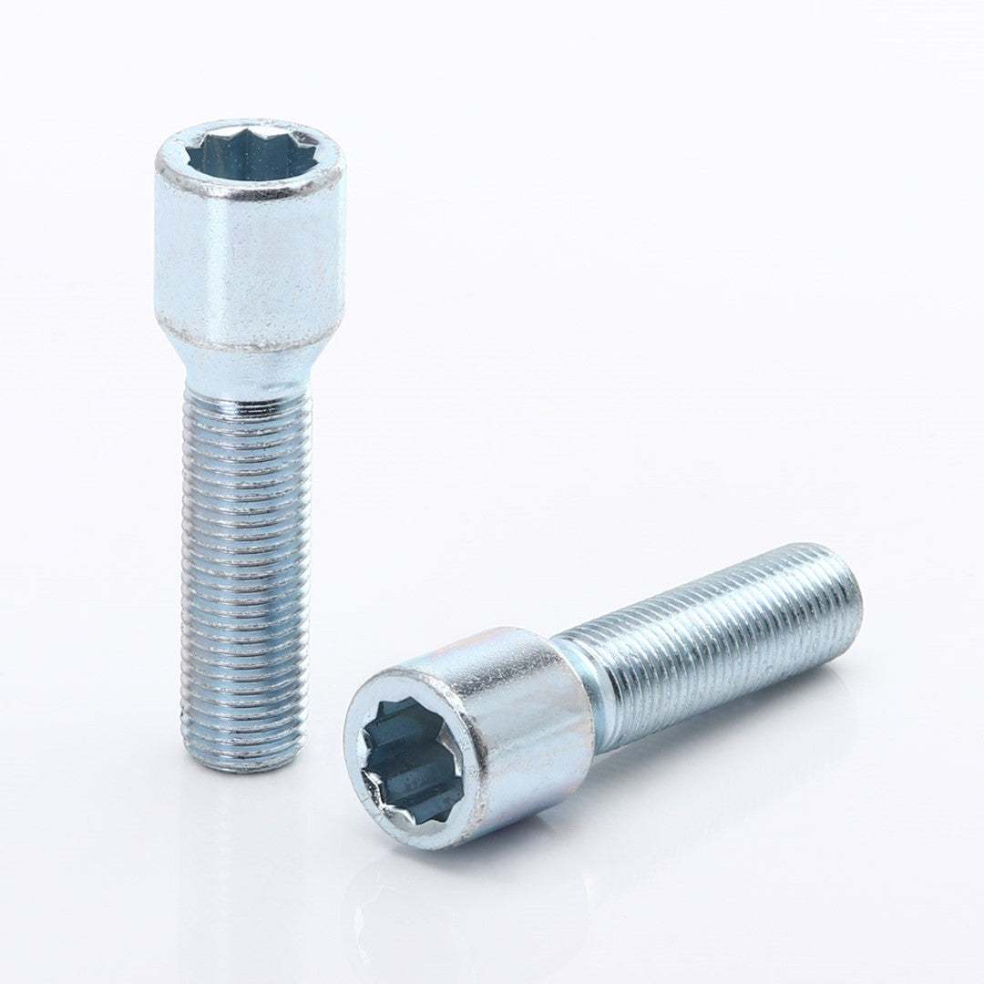 Hvězdicové šrouby 50 mm Silver + klíč – sada 10 ks