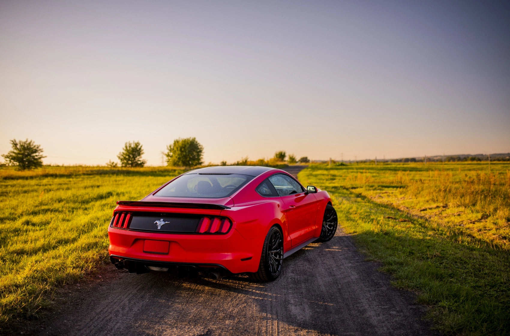 Ford Mustang Concaver CVR1 Carbon Graphite 370 12166.webp