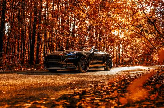 Ford Mustang Concaver CVR6 Double Tinted Black 1276 16242.webp 9