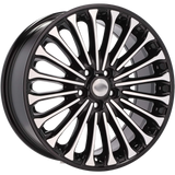 Vybraný disk